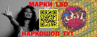 мяу мяу мука Кандалакша