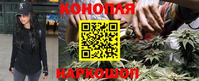 прущие крисы Камышлов