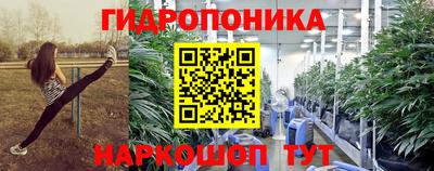 мяу мяу мука Кандалакша
