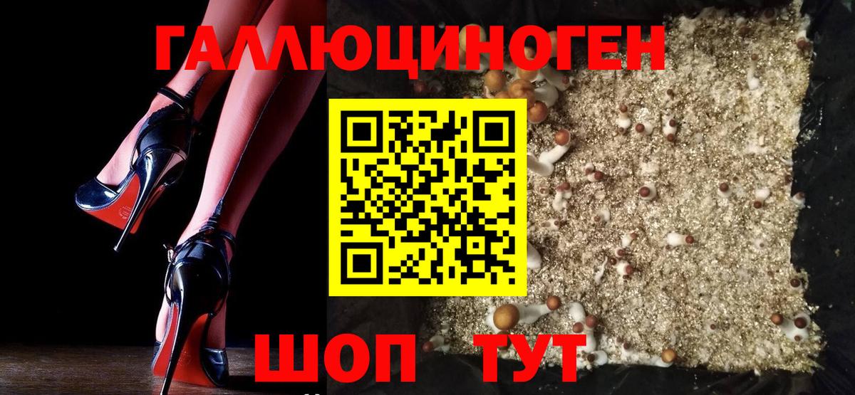 Галлюциногенные грибы ЛСД Краснодар